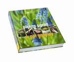 pieknyogrod Piękny ogród w pół godziny – nowa książka wydawnictwa Reader’s Digest