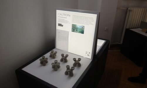 Shaping Hungary, czyli węgierski design w Warszawie