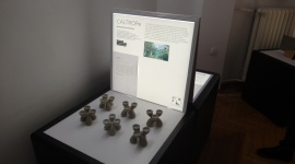 Shaping Hungary, czyli węgierski design w Warszawie Sztuka, LIFESTYLE - Wystawę można oglądać do 10 marca na Wydziale Wzornictwa ASP.