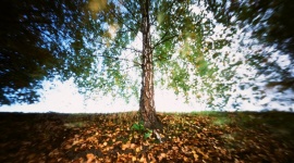 Sam konstruuje aparaty, a jego zdjęcia zachwycają. Zobacz wystawę Sztuka, LIFESTYLE - Pejzaże miejskie, drzewa, sporadycznie ludzie – patrząc na zdjęcia Leszka Wyrzykowskiego trudno uwierzyć, że zostały wykonane samodzielnie skonstruowanymi aparatami, często na kliszach z pchlich targów.