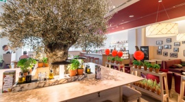 Akustyczny wieczór w Vapiano w Sukcesji Muzyka, LIFESTYLE -