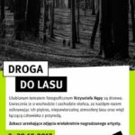Mieszkaniec Katowic zachwyca zdjęciami przyrody. Zobacz „Drogę do lasu”
