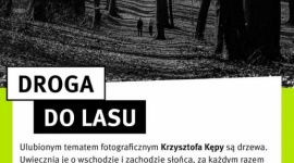 Mieszkaniec Katowic zachwyca zdjęciami przyrody. Zobacz „Drogę do lasu” Sztuka, LIFESTYLE - 47-letni mieszkaniec Katowic swoją pasję do robienia zdjęć łączy z miłością do przyrody. Wykonuje zachwycające fotografie drzew w bajecznym otoczeniu, opowiadając o przyjaźni przyrody i człowieka.