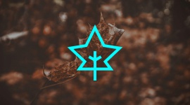 Terapeutyczna moc muzyki z TIDAL Muzyka, LIFESTYLE - Nie od dziś wiadomo, że muzyka ma ogromny wpływ na człowieka również w strefie „pozamuzycznej”. Odgrywa wielką rolę w postrzeganiu otaczającej rzeczywistości, generuje konkretne emocje, a nawet wspiera procesy uczenia.