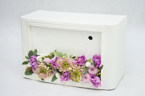 Chryzantemowe projekty oczarowały gości Special DAYS Sztuka, LIFESTYLE - Targi Special DAYS to wydarzenie, na które branża florystyczna czekała z niecierpliwością. Pośród zaprezentowanych trendów i inspiracji swoją obecność szczególnie mocno zaznaczyła chryzantema.