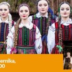 Tulia | Empik Focus