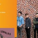 Sonbird | Empik Galeria Bałtycka