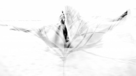 MUZYCZNA WSPÓŁPRACA WSPANIAŁYCH ARTYSTÓW – BEATY SZAŁWIŃSKIEJ ORAZ ALEXANDRA ANI Muzyka, LIFESTYLE - Beata Szałwińska, polska pianistka mieszkająca poza granicami naszego kraju, jest wspaniałą wizytówką Polski. Artystka od kilku lat współpracuje z Alexandrem Anisimovem, jednym z najlepszych basów cenionym na całym świecie.