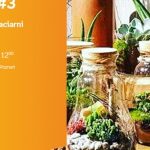 W świecie roślin #3 „Las w szkle” – Badyle | Empik Plac Wolności